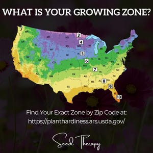 USA planting zone map from Seed Therapy showing growing regions