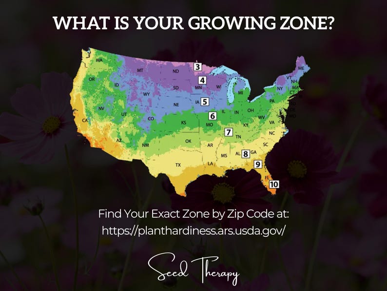 USA planting zone map from Seed Therapy showing growing regions
