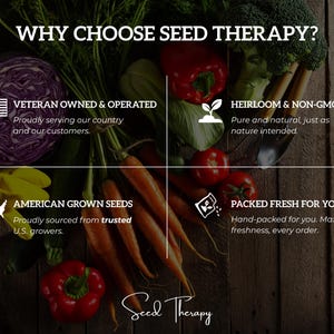 Seed Therapy infographic highlighting heirloom non-GMO seeds, veteran-owned business, and affordable pricing