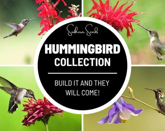 Hummingbird Garden Seed Collection - 10 Varieties: Create a haven for hummingbirds in your own backyard!