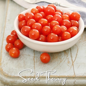 May include: A white ceramic bowl filled with numerous bright red cherry tomatoes, with several tomatoes resting outside the bowl. The text "Seed Therapy" is written in a white cursive script at the bottom of the image.