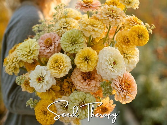 Lemon Meringue Zinnia Seeds – Heirloom Flower, Large Double Blooms, Polar Bear, Canary Bird & Envy Mix, Easy to Grow | 100 Seeds
