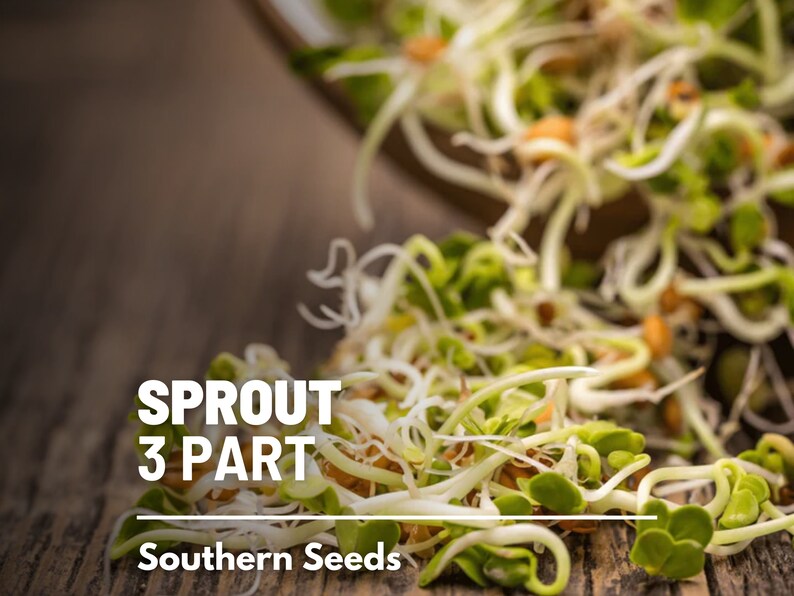 Sprout, 3 Part Mix - 1,000 Seeds - Southern Seed Exchange