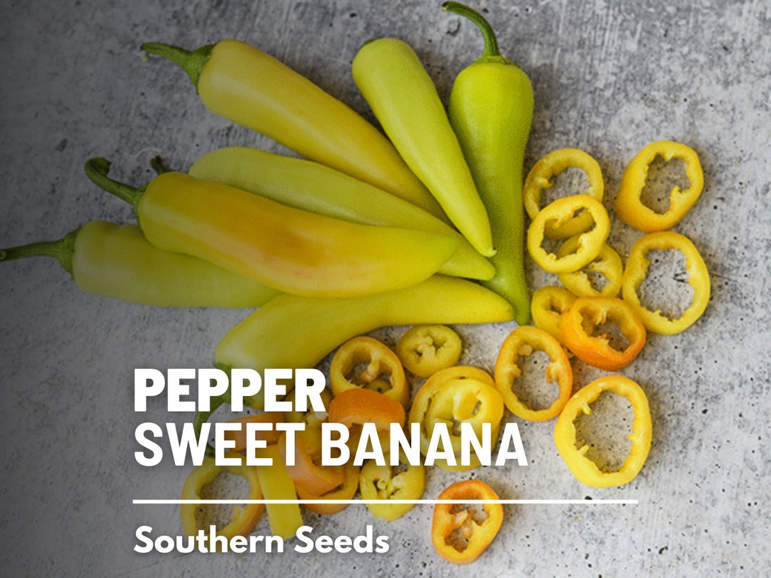 Pepper, Sweet Banana 25 Seeds Heirloom Vegetable Nongmo AAS Winner capsicum Annuum Etsy