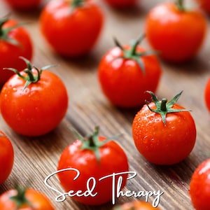 May include: A collection of bright red cherry tomatoes with green stems, each featuring small water droplets on their smooth skins. The text Seed Therapy is written in a white cursive script across the lower portion of the image.