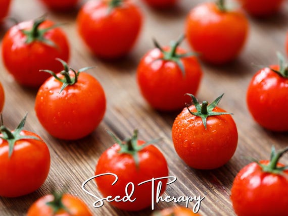 Red Cherry Tomato Seeds – Heirloom, Sweet & Easy to Grow (50 Seeds)