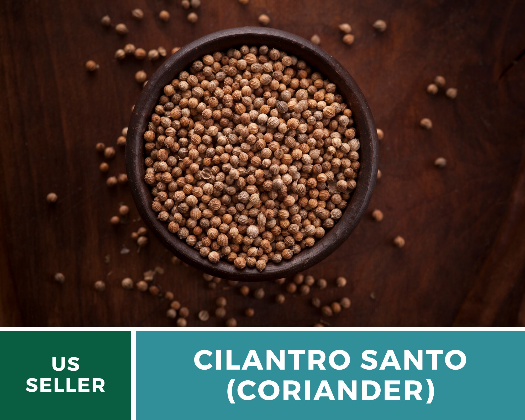 Coriander Seeds For Planting, 250 Seeds, Heirloom Culinary Herb