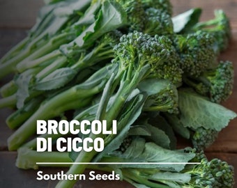 Broccoli, Di Cicco - 200 Seeds - Heirloom Vegetable - Broccolini - Open Pollinated - Non-GMO (Brassica oleracea)
