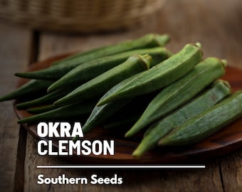 Okra, Clemson Spineless - 50 Seeds - Heirloom Vegetable - AAS Winner - Open Pollinated - Non-GMO (Abelmoschus esculentus)