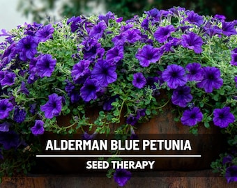 Alderman Blue Petunia Seeds, Heirloom Cascading Hanging Basket Flower (100 Seeds)