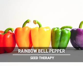 thumbnail image 2 of ORGANIC SEED Pepper: Sweet Pepper Medley -Prairie Road Organic – Prairie Road Organic Seed 2 of 13