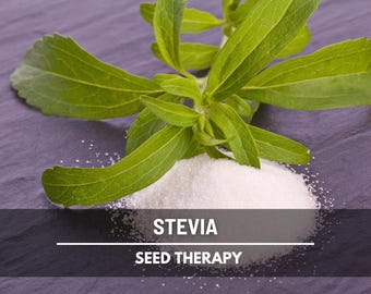 Stevia Seeds (Sugar Leaf) – Heirloom Herb, Natural Sweetener, Sugar Alternative, Medicinal Plant, Stevia rebaudiana | 50 Seeds