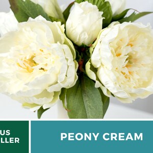 May include: A bouquet of cream-colored artificial peonies with green leaves. The flowers are arranged in a vase. The text "PEONY CREAM" is displayed below the image.
