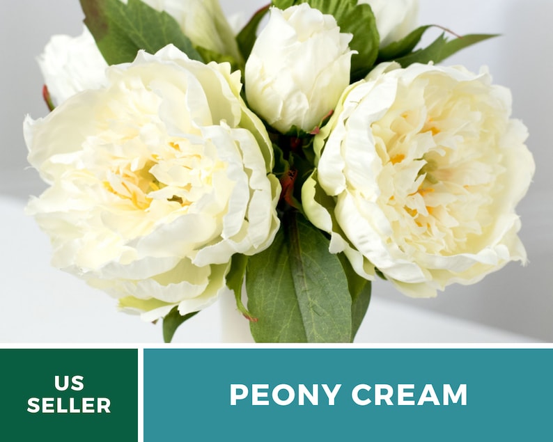 May include: A bouquet of cream-colored artificial peonies with green leaves. The flowers are arranged in a vase. The text "PEONY CREAM" is displayed below the image.