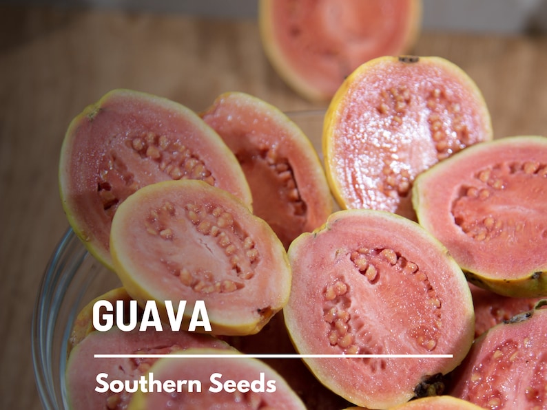 May include: A bowl of sliced pink guava fruit. The fruit is arranged in a bowl with the cut sides facing up. The bowl is clear glass and the fruit is surrounded by a wooden surface. The text "GUAVA" and "Southern Seeds" is visible in the image.