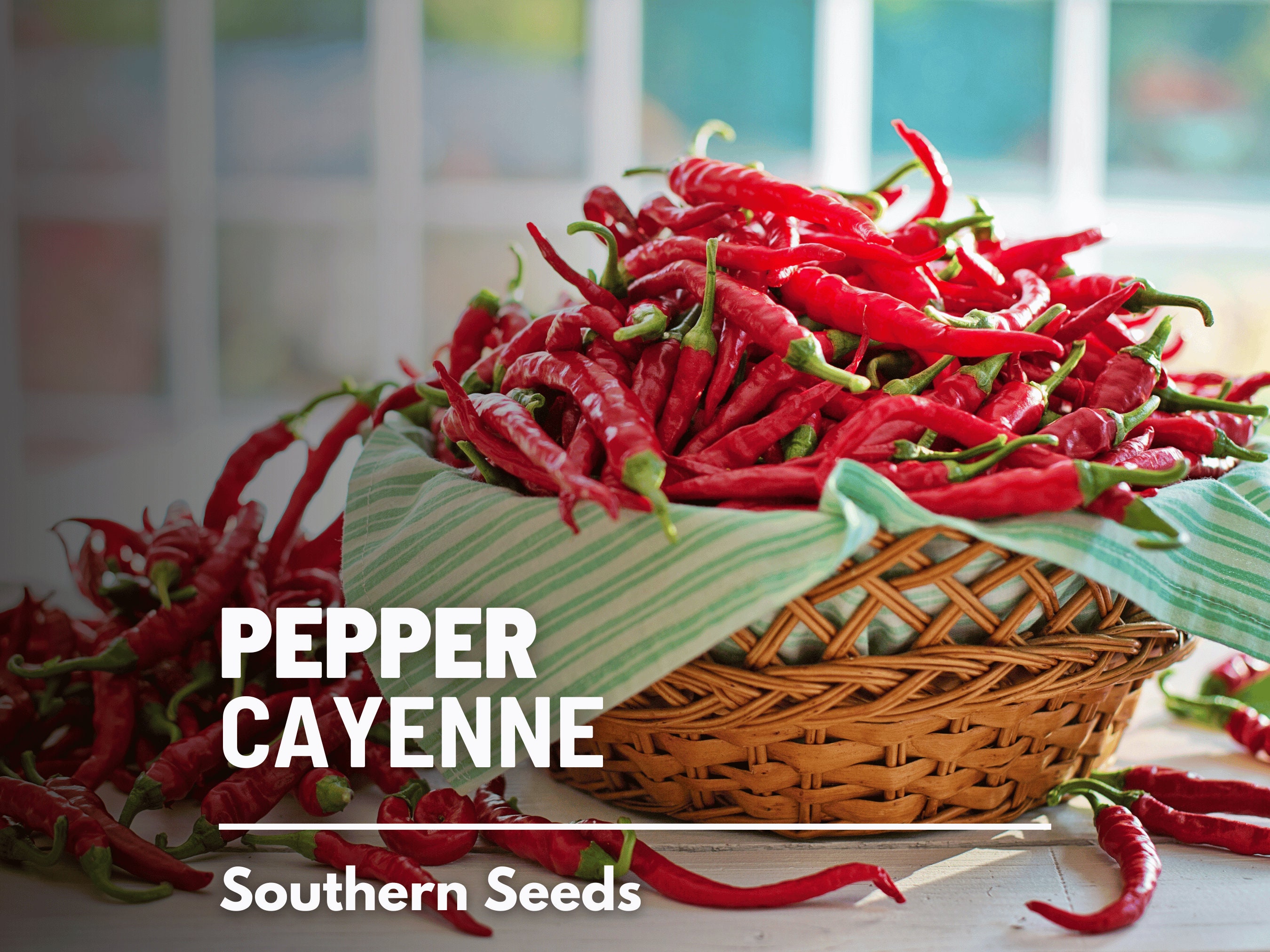 Cayenne-Long Pepper (Heirloom 70 Days)