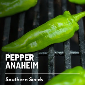 Pepper, Anaheim Chili - 25 Seeds - Heirloom Vegetable - Mild Heat - Open Pollinated - Non-GMO (Capsicum annuum)