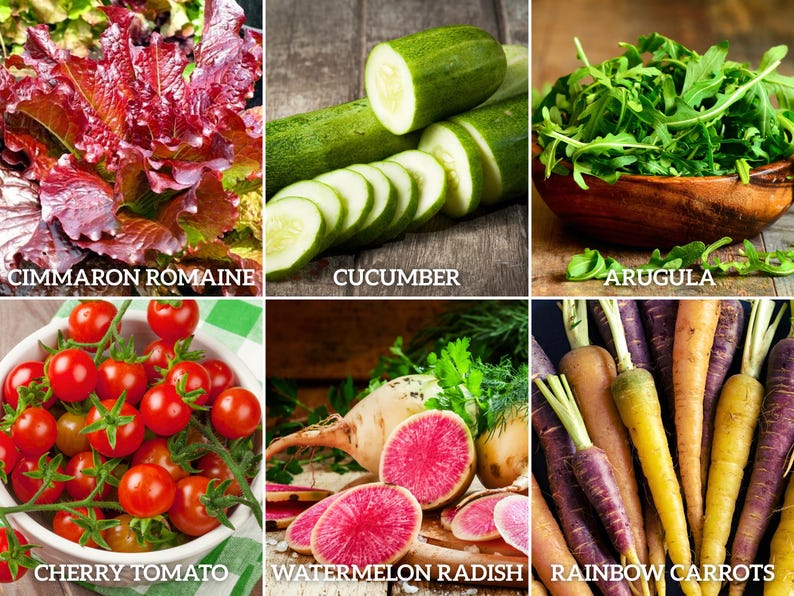 Seed Therapy Salad Seed Collection - Thumbnail 5