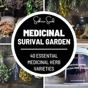 Survival Garden, Medicinal Herb Collection - 40 Seed Varieties - Heirloom, Non-GMO, Garden Gift, Emergency Garden, Free Shipping