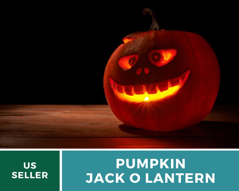 May include: A carved orange pumpkin jack-o'-lantern with a lit candle inside. The pumpkin has a wide, toothy grin and two large eyes. It is sitting on a wooden surface.