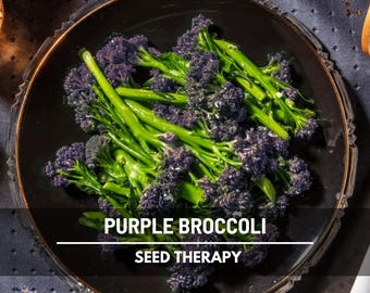 Purple Sprouting Broccoli Seeds – Heirloom, Non‑GMO, Open‑Pollinated Vegetable, Early and Tender Purple Broccoli, Easy to Grow | 100 Seeds