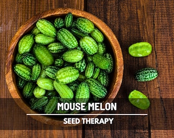 Mouse Melon Seeds – Cucamelon, Mexican Sour Gherkin, Heirloom Fruit for Pickling, Culinary Garden Gift | 10 Seeds