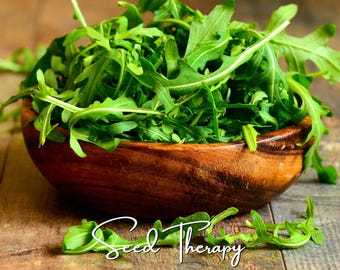 May include: A wooden bowl filled with fresh green arugula leaves. The leaves are elongated with jagged edges and a vibrant green color. The bowl has a dark brown wood grain texture. The text Seed Therapy is written in white cursive at the bottom.