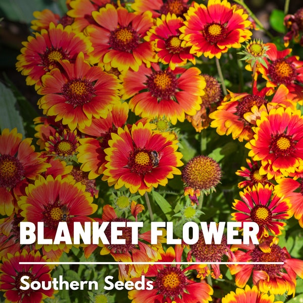 Flower Blanket Etsy