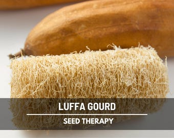 Luffa Gourd Seeds – Heirloom, Versatile & Natural Sponge Gourd, Easy to Grow Vegetable, Garden Favorite | 20 Seeds