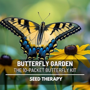 Butterfly Garden Seed Collection – 10 Heirloom Flower Varieties, Attracts Butterflies and Pollinators (10 Varieties)