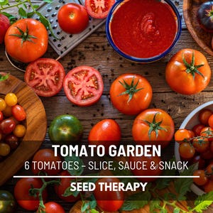 Tomato Garden Seed Collection – 6 Heirloom Varieties, Unique and Flavorful Tomatoes, Garden Favorite for Heirloom Lovers