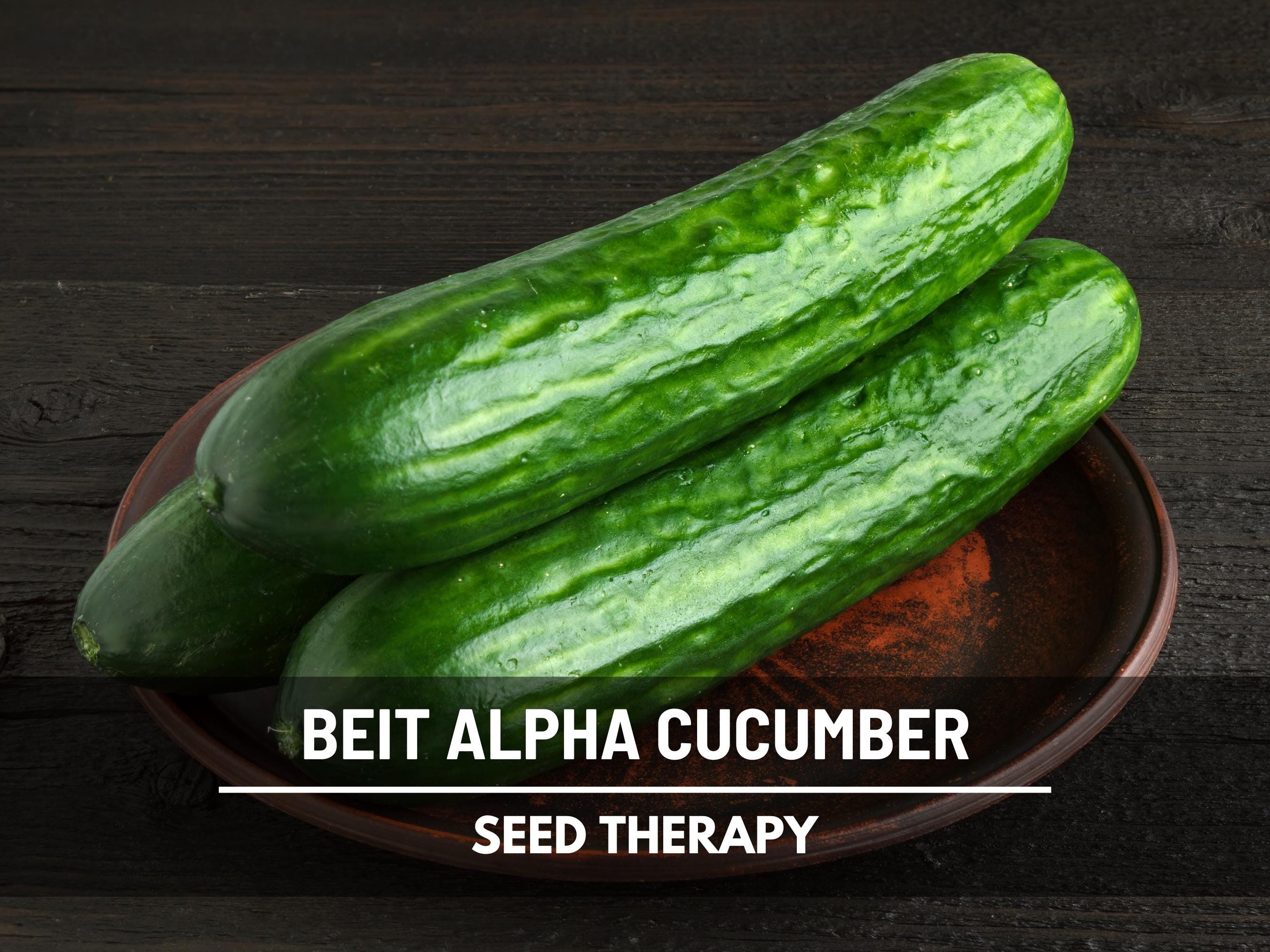 Party Time Cucumber Seeds