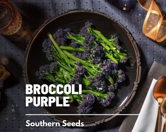 Broccoli, Purple Sprouting - 100 Seeds - Heirloom Vegetable - Open Pollinated - Non-GMO (Brassica oleracea)