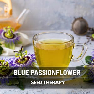 Blue Passionflower Seeds (Passiflora caerulea) – Heirloom, Exotic Climber, Bluecrown (20 Seeds) image 4