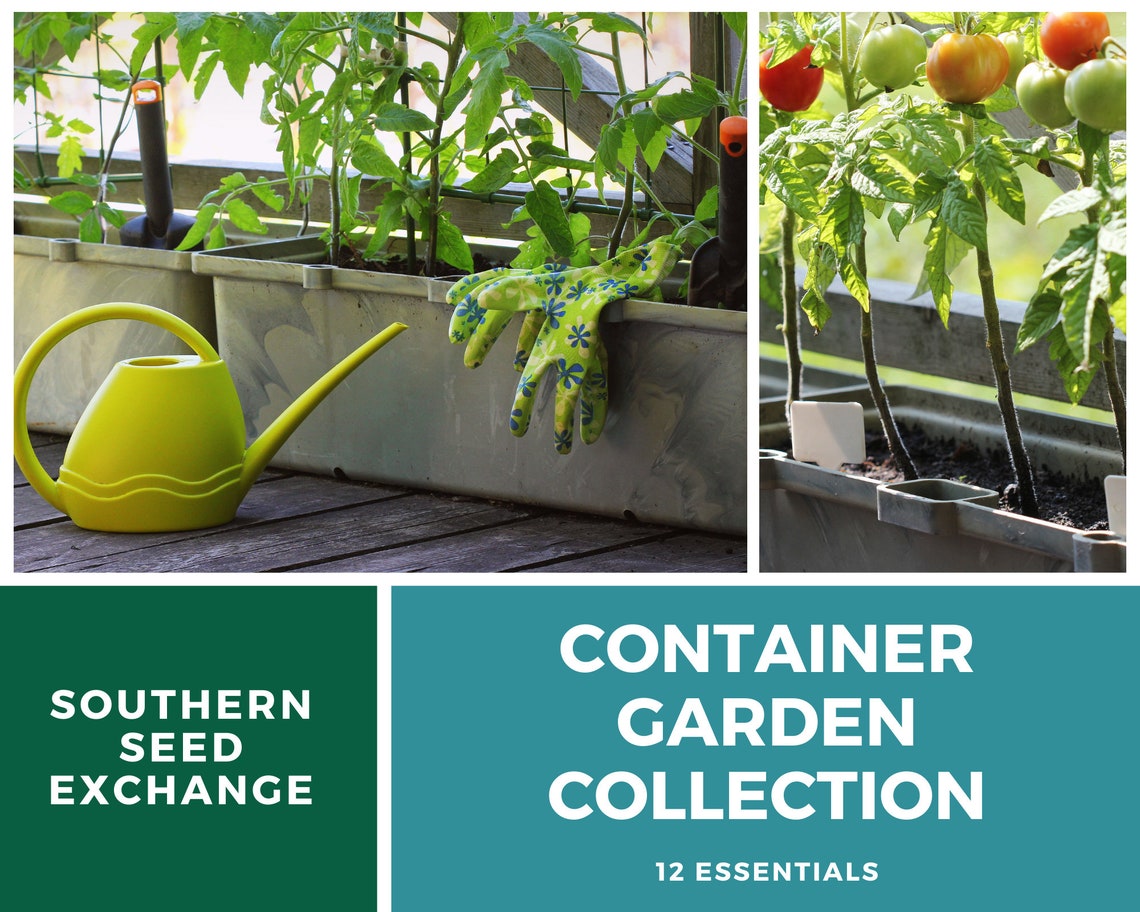 Container Garden Seed Collection 12 Essential Varieties Etsy