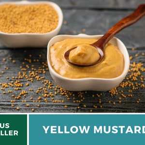 May include: A white bowl filled with yellow mustard, with a wooden spoon scooping out some of the mustard.  There are mustard seeds scattered on a dark wooden surface.