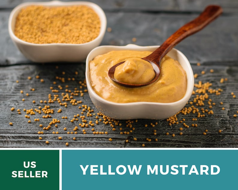 May include: A white bowl filled with yellow mustard, with a wooden spoon scooping out some of the mustard.  There are mustard seeds scattered on a dark wooden surface.