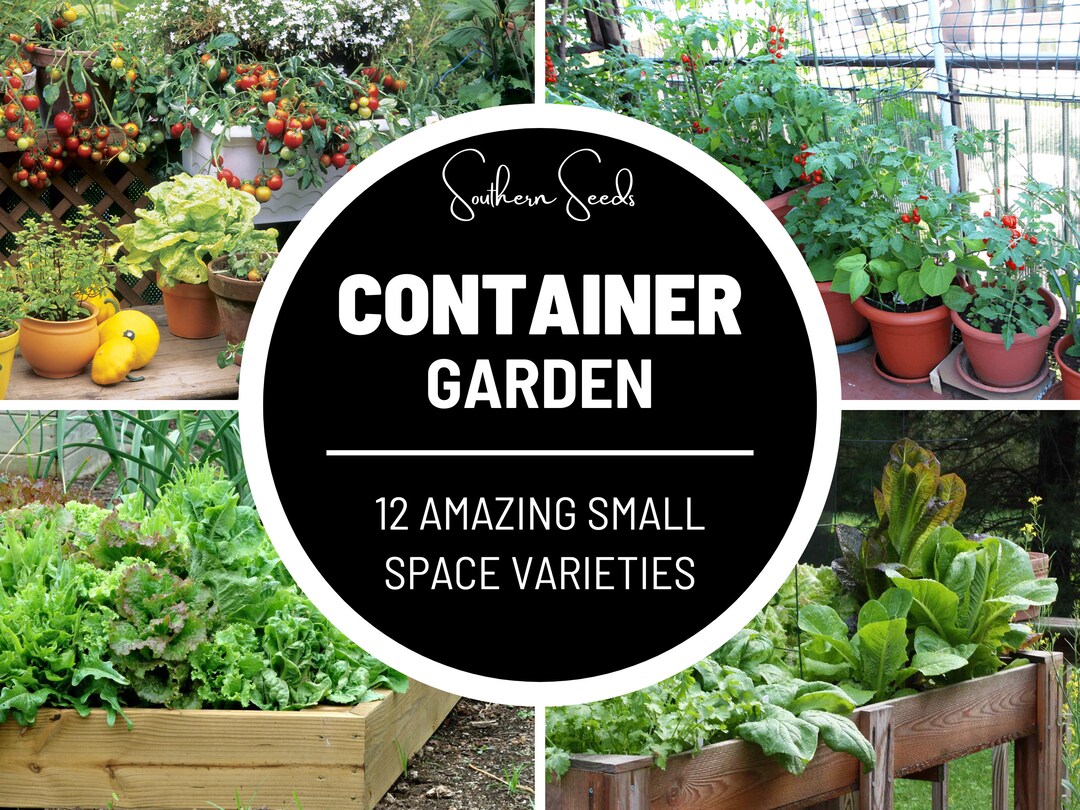 Container Garden Seed Collection 12 Essential Varieties Heirloom Seeds