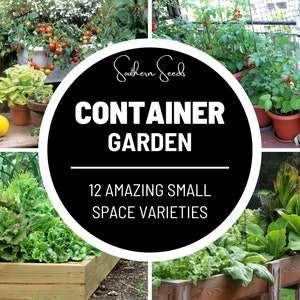 Container Garden Seed Collection - 12 Essential Varieties - Heirloom Seeds for Compact Spaces - Perfect for Balconies and Patios