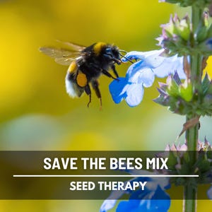 Wildflower Mix, Save The Bees – 1,000 Seeds, Heirloom Flower Blend, Supports Bees, Butterflies, and Pollinators, Garden Gift