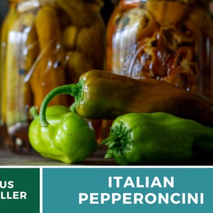Peut inclure: Piments italiens verts et bruns pepperoncini sur une surface en bois. Des bocaux de piments marin&eacute;s sont en arri&egrave;re-plan.