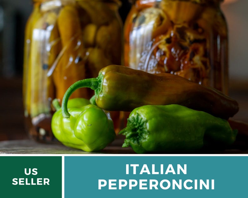 Peut inclure: Piments italiens verts et bruns pepperoncini sur une surface en bois. Des bocaux de piments marin&eacute;s sont en arri&egrave;re-plan.