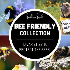 Bee Friendly Collection - 10 Seed Varieties: Enhance and Strengthen the Bee Population