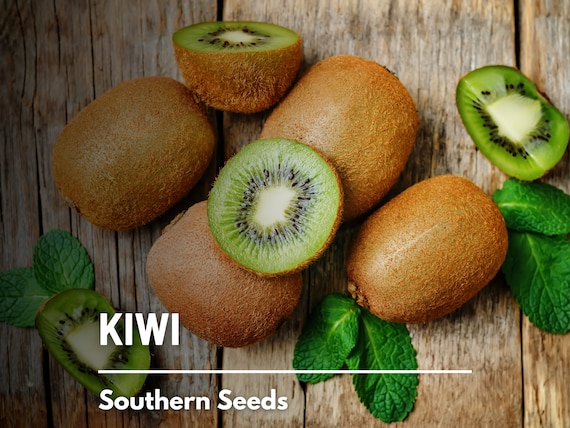 Organic Green Kiwi Fruit, 1 lb