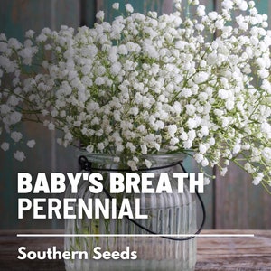 62 Artificial Babys Breath Garland, Fern Flower Garland, Green