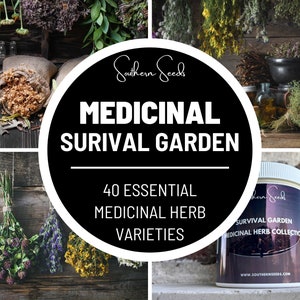 Survival Garden, Medicinal Herb Collection - 40 Seed Varieties - Heirloom, Non-GMO, Garden Gift, Emergency Garden, Free Shipping