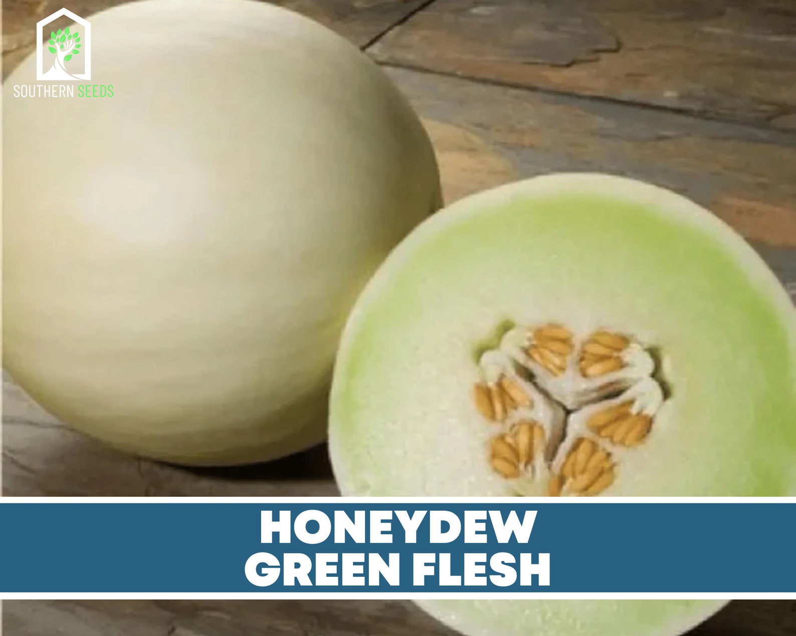 Melon Green Flesh Honeydew 20 Seeds Heirloom Open Etsy