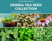 Herbal Tea Seed Collection - 6 Essential Herbs - Non-GMO