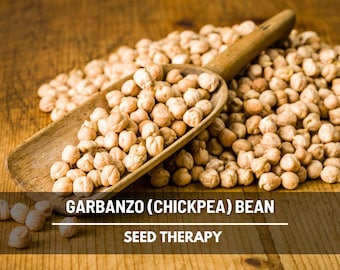 Chickpea Seeds (Garbanzo Bean) – Heirloom, Mediterranean Favorite, for Drying and Cooking, Open Pollinated | 20 Seeds