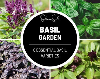 Basil Seed Collection - 6 Varieties - Heirloom Herb Seeds - Open Pollinated - Non-GMO